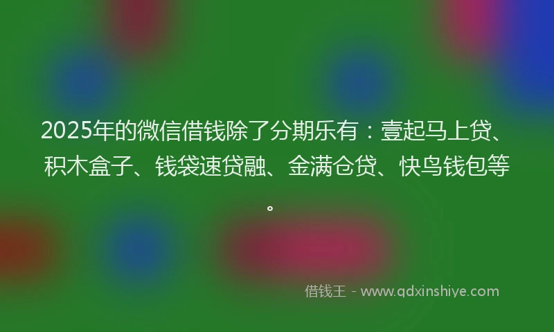 2025年的微信借钱除了分期乐有：壹起马上贷、积木盒子、钱袋速贷融、金满仓贷、快鸟钱包等。