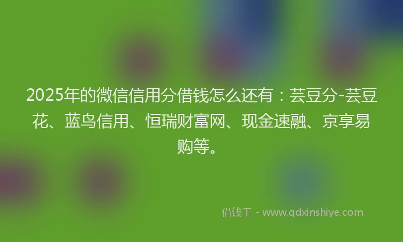 2025年的微信信用分借钱怎么还有：芸豆分-芸豆花、蓝鸟信用、恒瑞财富网、现金速融、京享易购等。