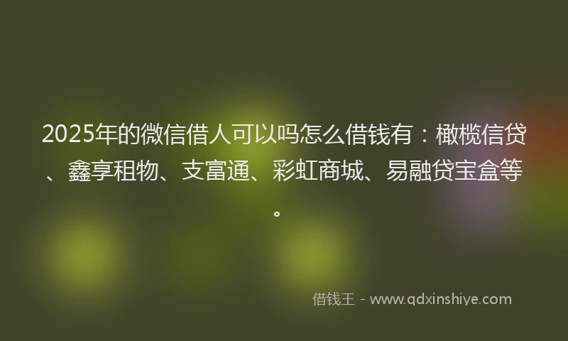 2025年的微信借人可以吗怎么借钱有：橄榄信贷、鑫享租物、支富通、彩虹商城、易融贷宝盒等。