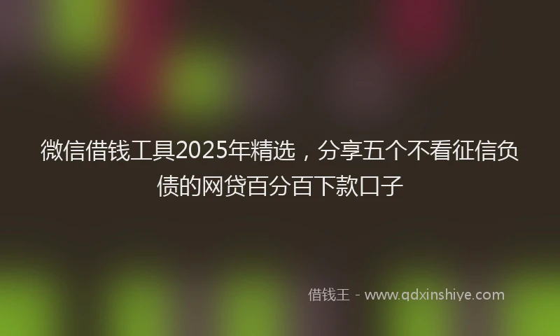 微信借钱工具2025年精选，分享五个不看征信负债的网贷百分百下款口子