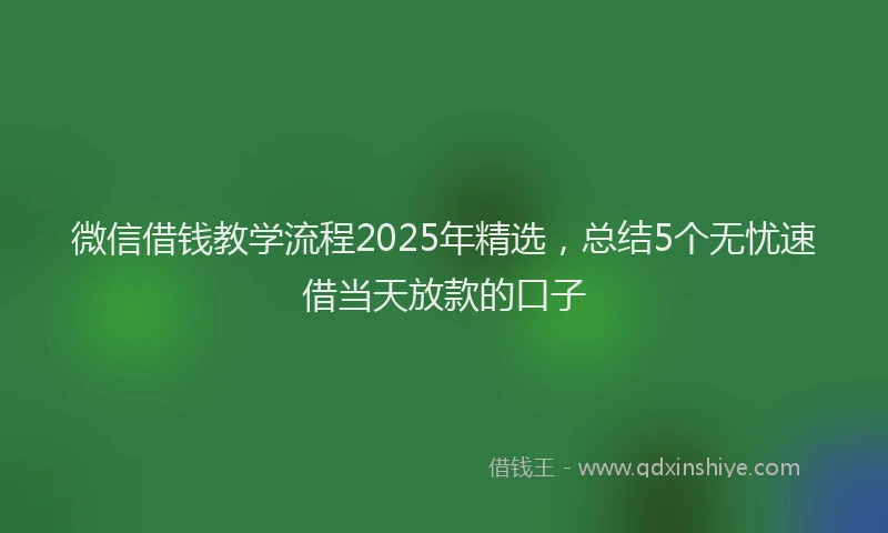 微信借钱教学流程2025年精选，总结5个无忧速借当天放款的口子