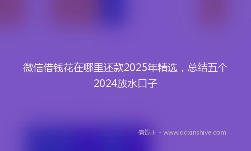 微信借钱花在哪里还款2025年精选，总结五个2024放水口子