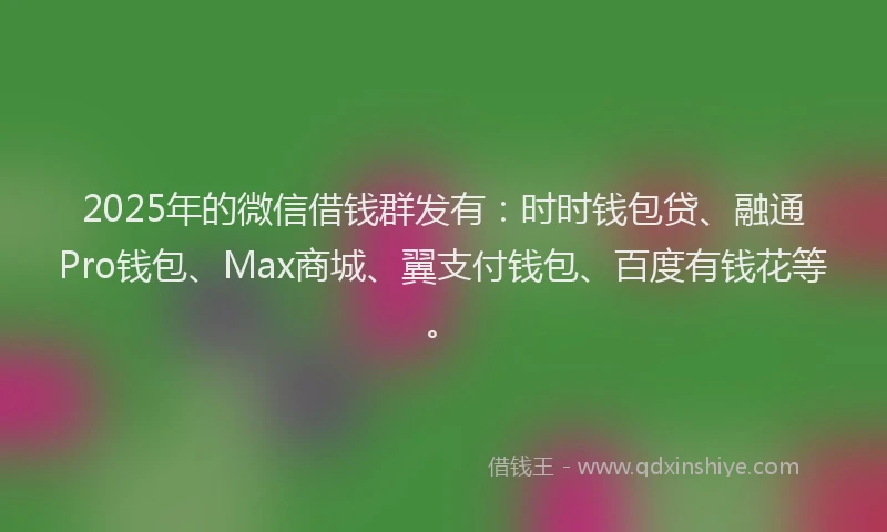 2025年的微信借钱群发有：时时钱包贷、融通Pro钱包、Max商城、翼支付钱包、百度有钱花等。