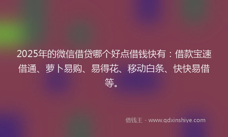 2025年的微信借贷哪个好点借钱快有：借款宝速借通、萝卜易购、易得花、移动白条、快快易借等。