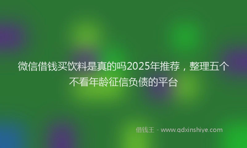 微信借钱买饮料是真的吗2025年推荐，整理五个不看年龄征信负债的平台
