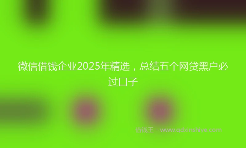 微信借钱企业2025年精选，总结五个网贷黑户必过口子