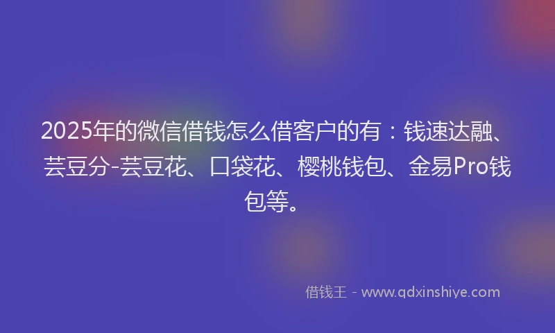 2025年的微信借钱怎么借客户的有：钱速达融、芸豆分-芸豆花、口袋花、樱桃钱包、金易Pro钱包等。