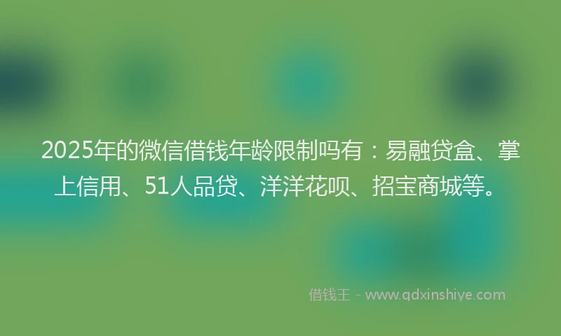 2025年的微信借钱年龄限制吗有：易融贷盒、掌上信用、51人品贷、洋洋花呗、招宝商城等。