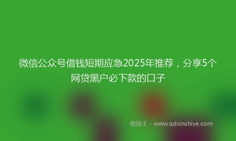 微信公众号借钱短期应急2025年推荐，分享5个网贷黑户必下款的口子