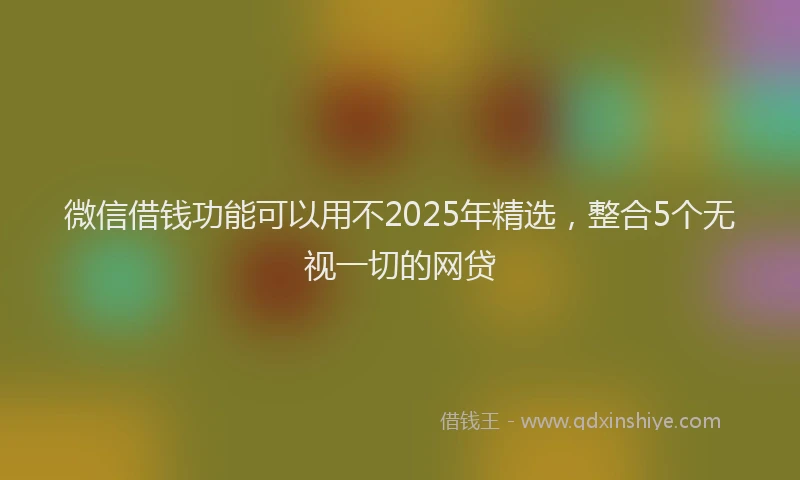 微信借钱功能可以用不2025年精选，整合5个无视一切的网贷