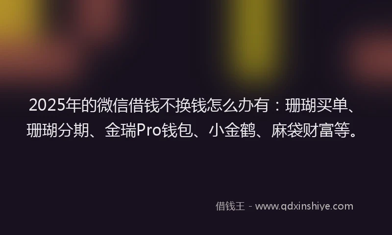2025年的微信借钱不换钱怎么办有：珊瑚买单、珊瑚分期、金瑞Pro钱包、小金鹤、麻袋财富等。