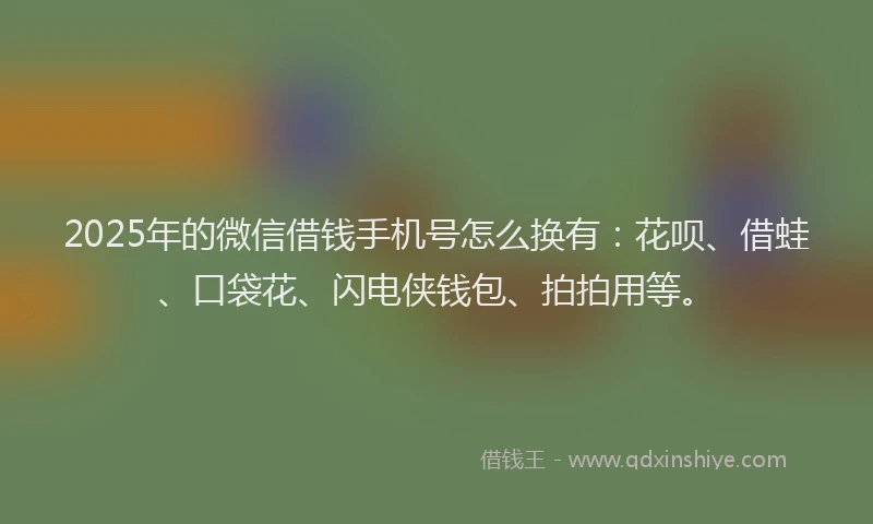 2025年的微信借钱手机号怎么换有：花呗、借蛙、口袋花、闪电侠钱包、拍拍用等。