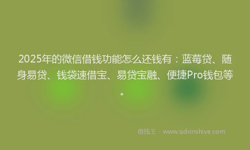 2025年的微信借钱功能怎么还钱有：蓝莓贷、随身易贷、钱袋速借宝、易贷宝融、便捷Pro钱包等。