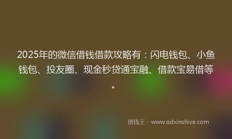2025年的微信借钱借款攻略有：闪电钱包、小鱼钱包、投友圈、现金秒贷通宝融、借款宝易借等。