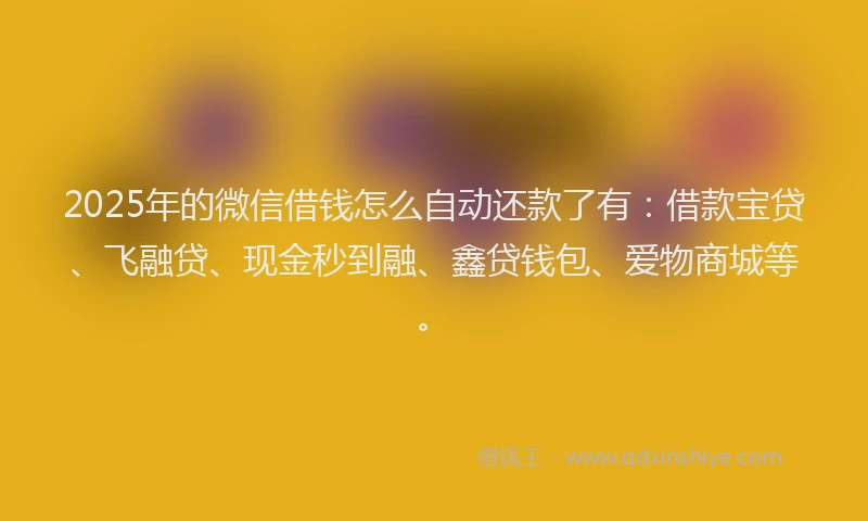 2025年的微信借钱怎么自动还款了有：借款宝贷、飞融贷、现金秒到融、鑫贷钱包、爱物商城等。