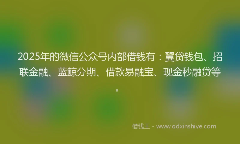 2025年的微信公众号内部借钱有：翼贷钱包、招联金融、蓝鲸分期、借款易融宝、现金秒融贷等。