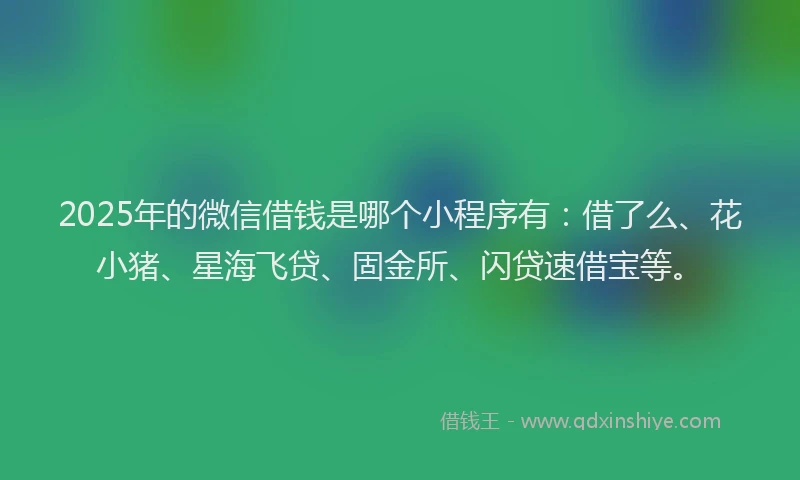2025年的微信借钱是哪个小程序有：借了么、花小猪、星海飞贷、固金所、闪贷速借宝等。