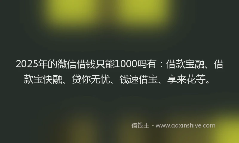 2025年的微信借钱只能1000吗有：借款宝融、借款宝快融、贷你无忧、钱速借宝、享来花等。