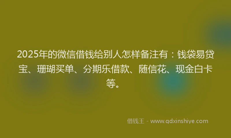 2025年的微信借钱给别人怎样备注有：钱袋易贷宝、珊瑚买单、分期乐借款、随信花、现金白卡等。
