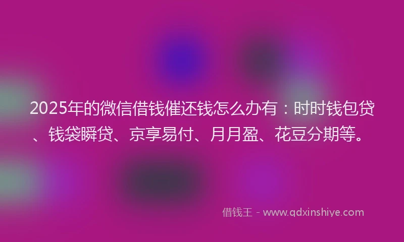 2025年的微信借钱催还钱怎么办有：时时钱包贷、钱袋瞬贷、京享易付、月月盈、花豆分期等。
