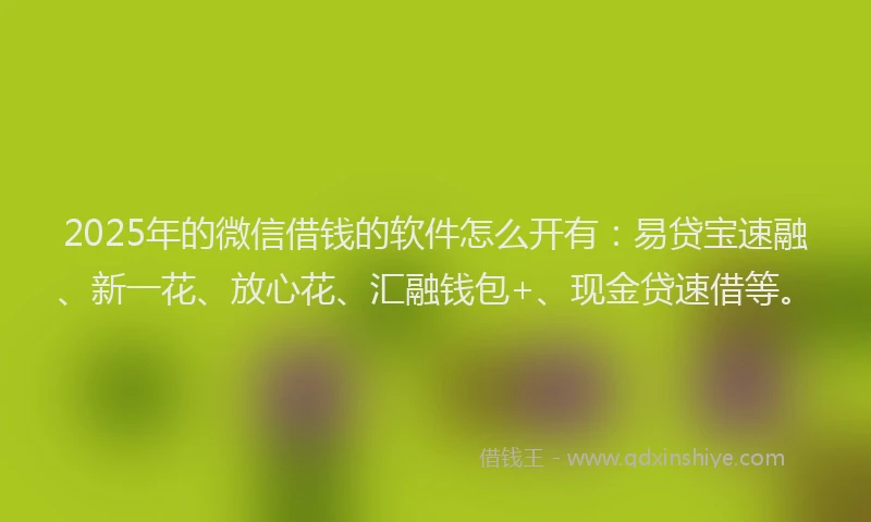 2025年的微信借钱的软件怎么开有：易贷宝速融、新一花、放心花、汇融钱包+、现金贷速借等。