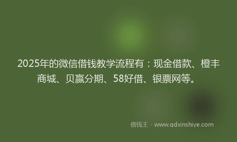 2025年的微信借钱教学流程有：现金借款、橙丰商城、贝赢分期、58好借、银票网等。
