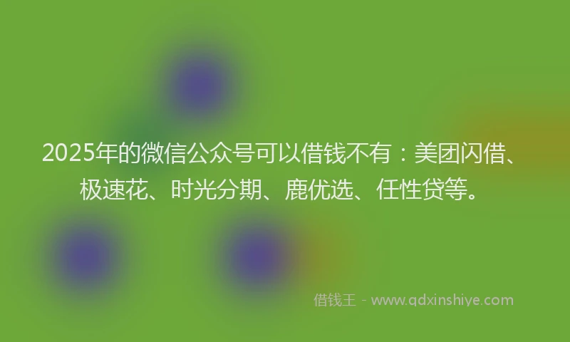 2025年的微信公众号可以借钱不有：美团闪借、极速花、时光分期、鹿优选、任性贷等。