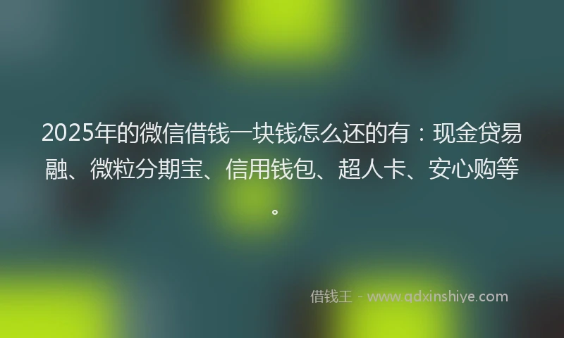 2025年的微信借钱一块钱怎么还的有：现金贷易融、微粒分期宝、信用钱包、超人卡、安心购等。