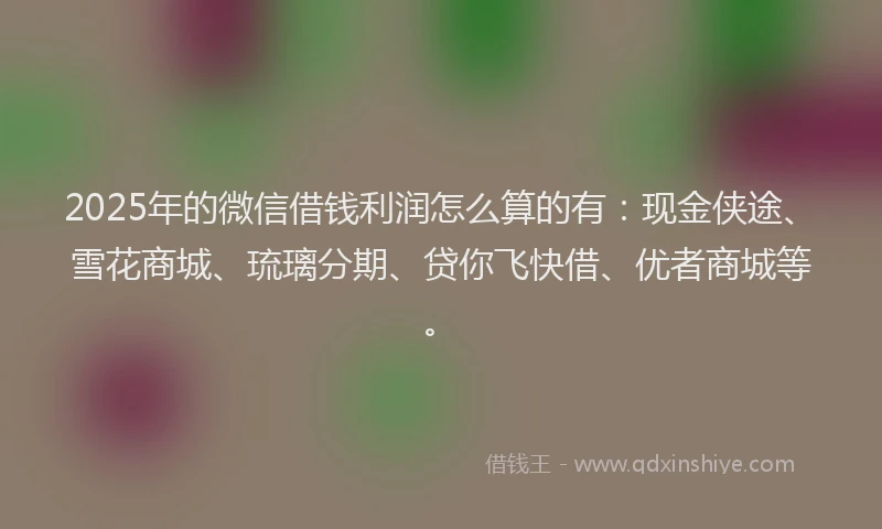 2025年的微信借钱利润怎么算的有：现金侠途、雪花商城、琉璃分期、贷你飞快借、优者商城等。