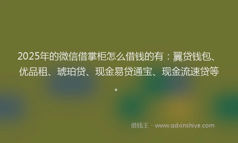 2025年的微信借掌柜怎么借钱的有：翼贷钱包、优品租、琥珀贷、现金易贷通宝、现金流速贷等。