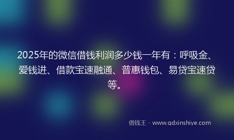 2025年的微信借钱利润多少钱一年有：呼吸金、爱钱进、借款宝速融通、普惠钱包、易贷宝速贷等。