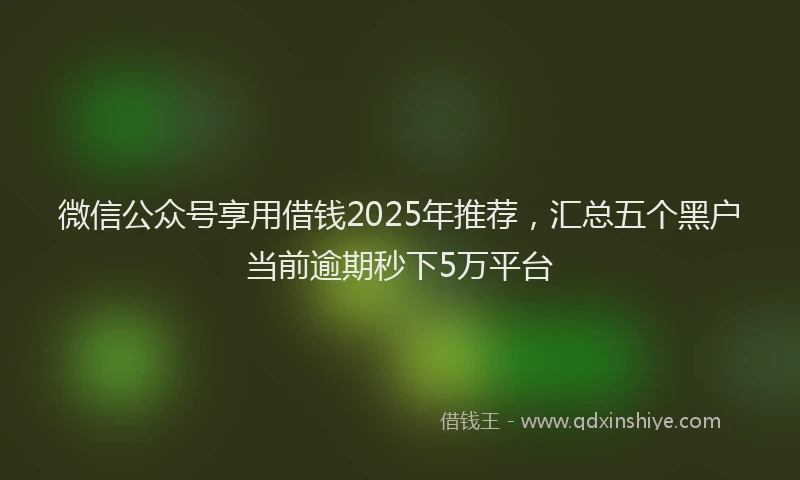 微信公众号享用借钱2025年推荐，汇总五个黑户当前逾期秒下5万平台