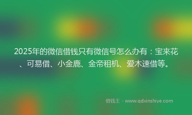 2025年的微信借钱只有微信号怎么办有：宝来花、可易借、小金鹿、金帝租机、爱木速借等。
