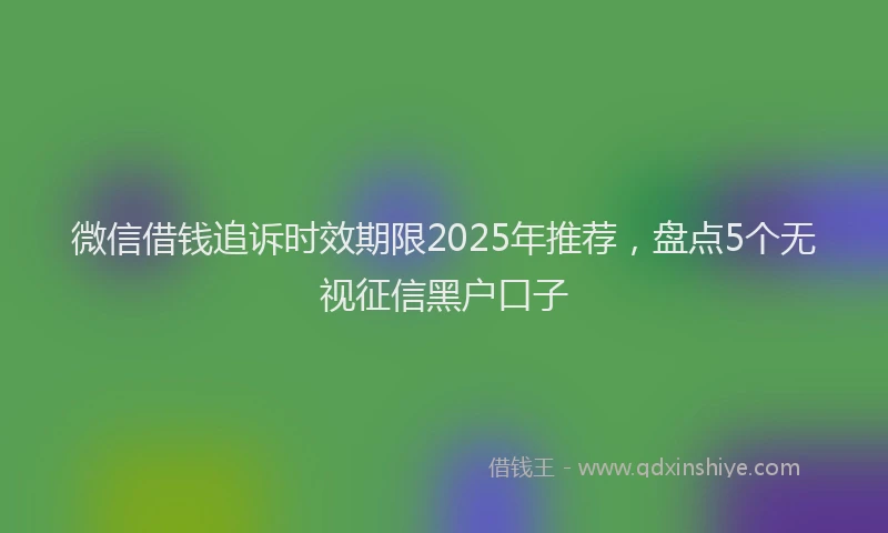 微信借钱追诉时效期限2025年推荐，盘点5个无视征信黑户口子