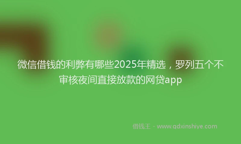 微信借钱的利弊有哪些2025年精选，罗列五个不审核夜间直接放款的网贷app