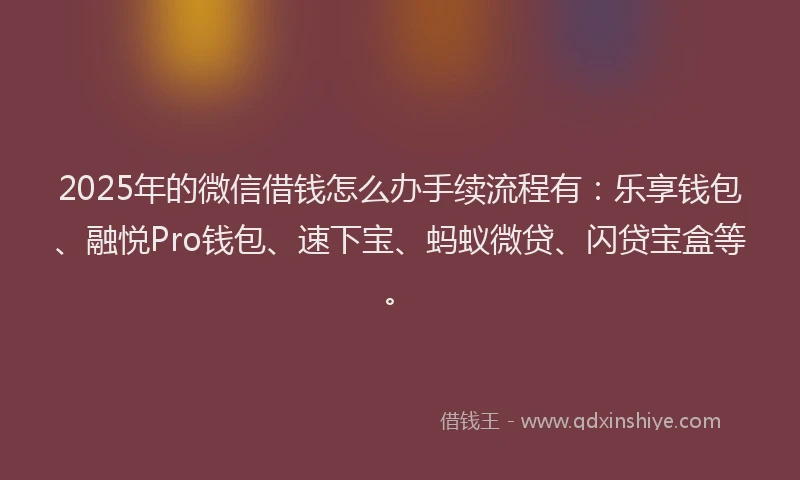 2025年的微信借钱怎么办手续流程有：乐享钱包、融悦Pro钱包、速下宝、蚂蚁微贷、闪贷宝盒等。