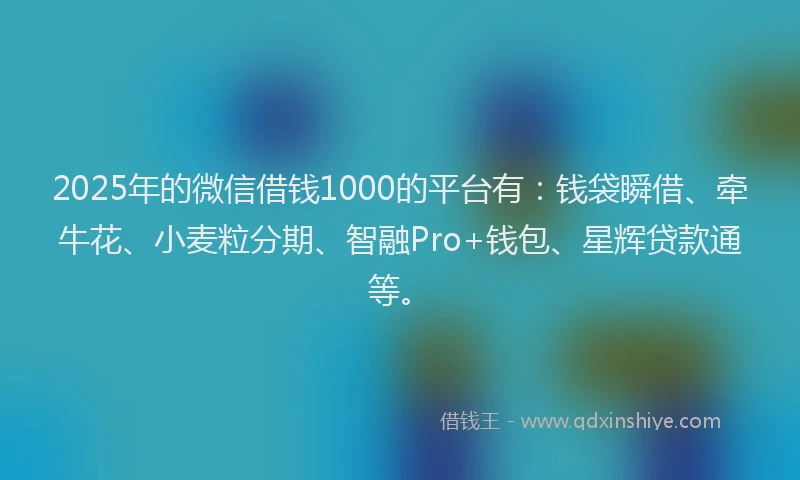 2025年的微信借钱1000的平台有：钱袋瞬借、牵牛花、小麦粒分期、智融Pro+钱包、星辉贷款通等。