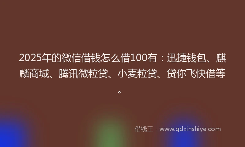 2025年的微信借钱怎么借100有：迅捷钱包、麒麟商城、腾讯微粒贷、小麦粒贷、贷你飞快借等。