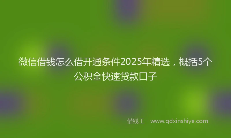 微信借钱怎么借开通条件2025年精选，概括5个公积金快速贷款口子