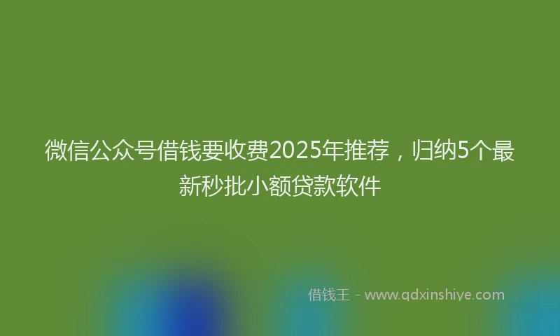 微信公众号借钱要收费2025年推荐，归纳5个最新秒批小额贷款软件