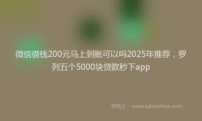 微信借钱200元马上到账可以吗2025年推荐，罗列五个5000块贷款秒下app