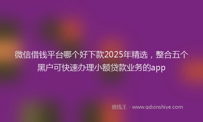 微信借钱平台哪个好下款2025年精选，整合五个黑户可快速办理小额贷款业务的app