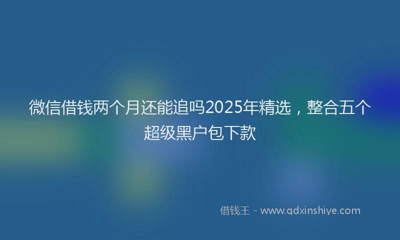 微信借钱两个月还能追吗2025年精选，整合五个超级黑户包下款