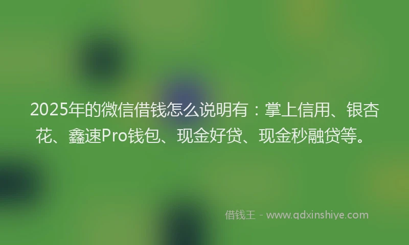2025年的微信借钱怎么说明有：掌上信用、银杏花、鑫速Pro钱包、现金好贷、现金秒融贷等。