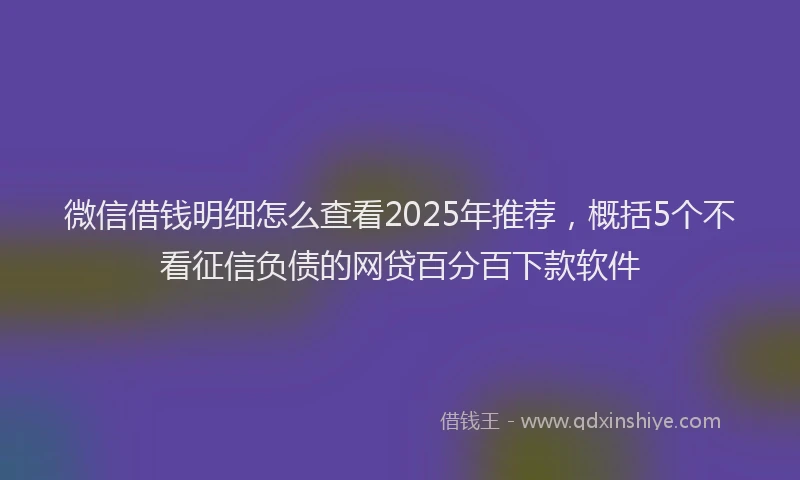 微信借钱明细怎么查看2025年推荐，概括5个不看征信负债的网贷百分百下款软件