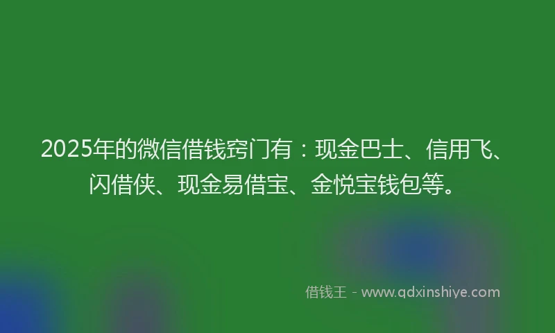 2025年的微信借钱窍门有：现金巴士、信用飞、闪借侠、现金易借宝、金悦宝钱包等。