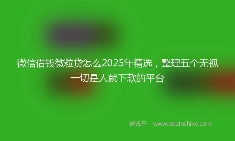 微信借钱微粒贷怎么2025年精选，整理五个无视一切是人就下款的平台
