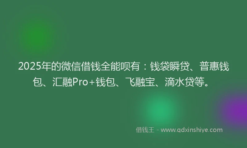 2025年的微信借钱全能呗有：钱袋瞬贷、普惠钱包、汇融Pro+钱包、飞融宝、滴水贷等。