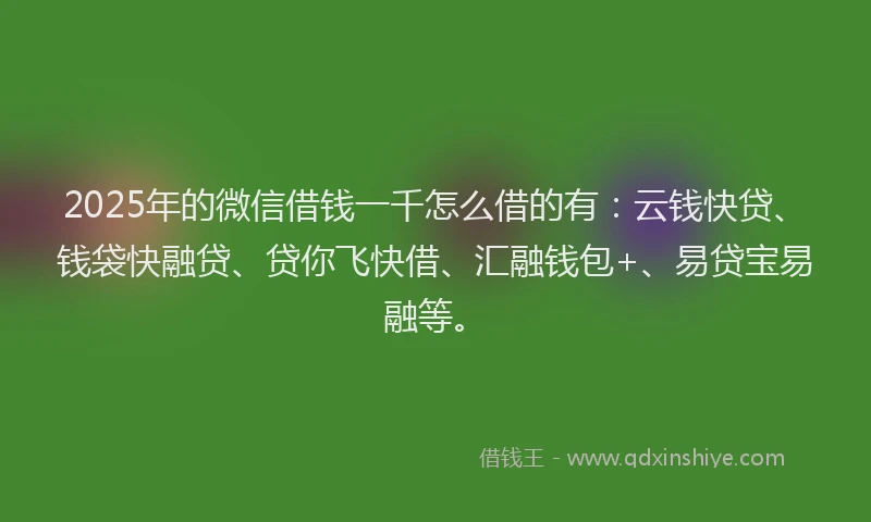 2025年的微信借钱一千怎么借的有：云钱快贷、钱袋快融贷、贷你飞快借、汇融钱包+、易贷宝易融等。