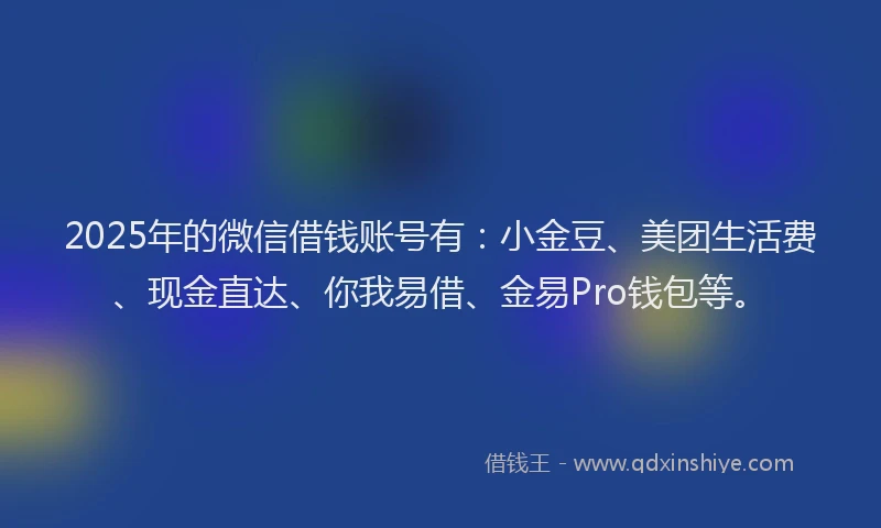 2025年的微信借钱账号有：小金豆、美团生活费、现金直达、你我易借、金易Pro钱包等。